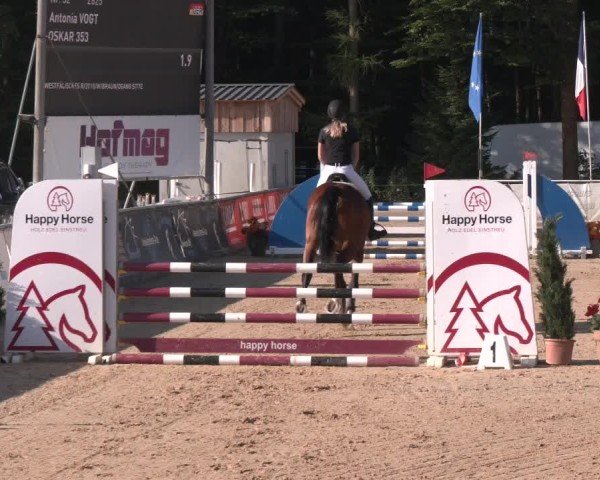 Reitturnier Ranshofen - Braunau am Inn 2024