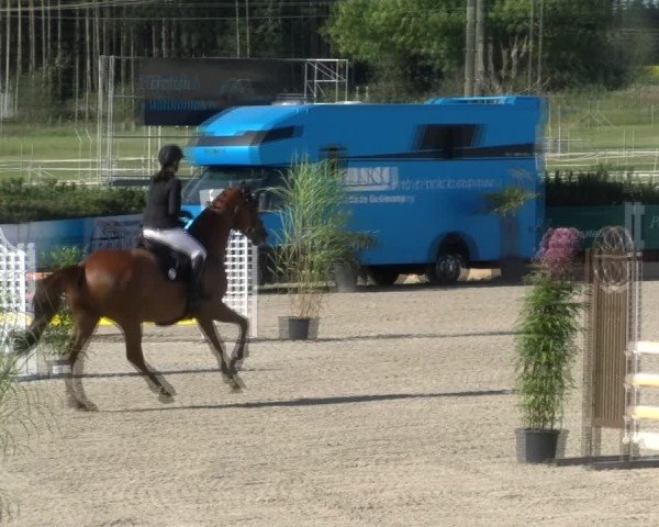 Reitturnier Sauldorf-Boll 2024