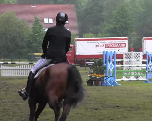 Halle-Tatenhausen Schloßturnier 2013