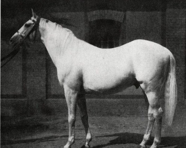 Deckhengst Sultan Mahomed xx (Englisches Vollblut, 1934, von Massine xx)