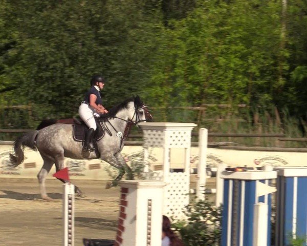 Reitturnier Vellinghausen 2024