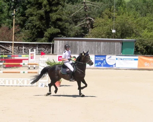Reitturnier Schüpfheim 2024