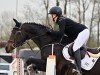 jumper Evette 3 (German Sport Horse, 2012, from Furejev)