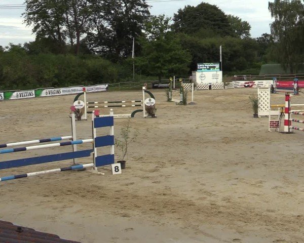 Reitturnier Vellinghausen 2024