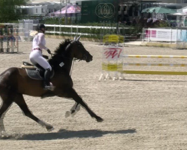 Reitturnier Sauldorf-Boll 2024