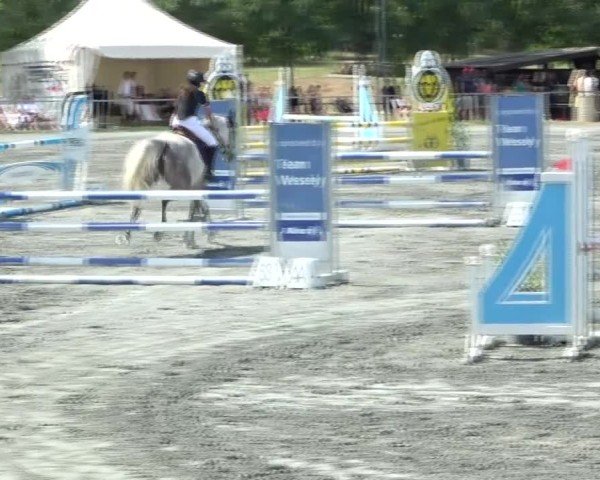 Reitturnier Horitschon 2024