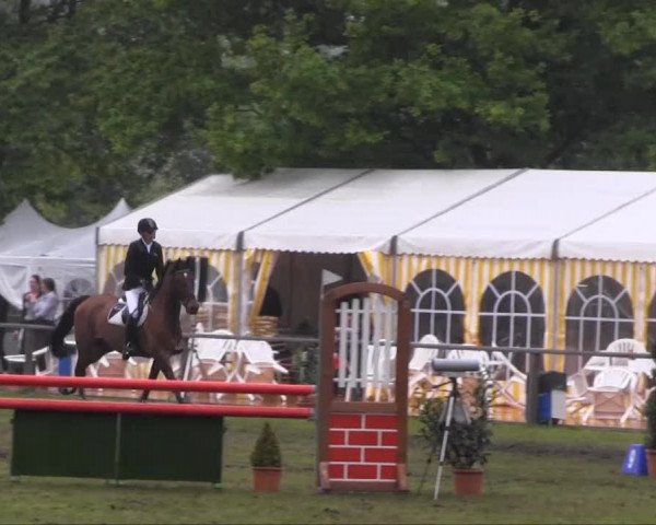 Halle-Tatenhausen Schloßturnier 2013