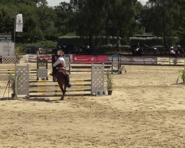 Reitturnier Vellinghausen 2024