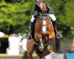 broodmare Lavinette (Mecklenburg, 2006, from Lord Kemm)