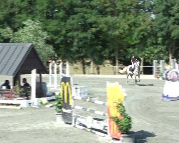 Reitturnier Horitschon 2024