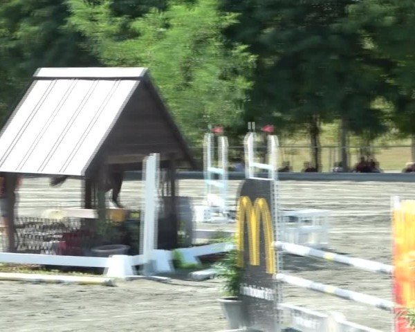 Reitturnier Horitschon 2024