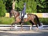 dressage horse Bluehorse First Date (KWPN (Royal Dutch Sporthorse), 2013, from Apache)