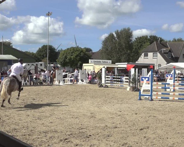 Reitturnier Behrendorf 2024