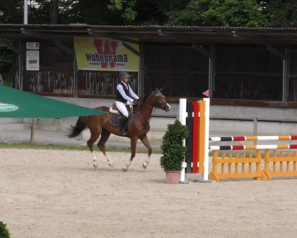 Reitturnier Ingolstadt - Hagau 2024