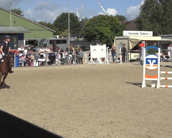 Reitturnier Behrendorf 2024