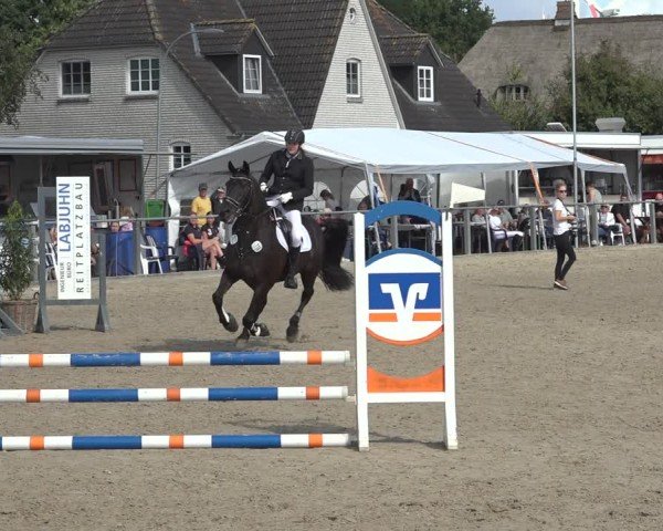 Reitturnier Behrendorf 2024