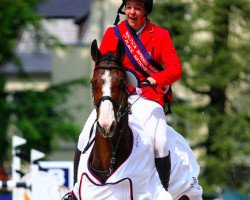 jumper Aaron 340 (German Sport Horse, 2004, from Askari)