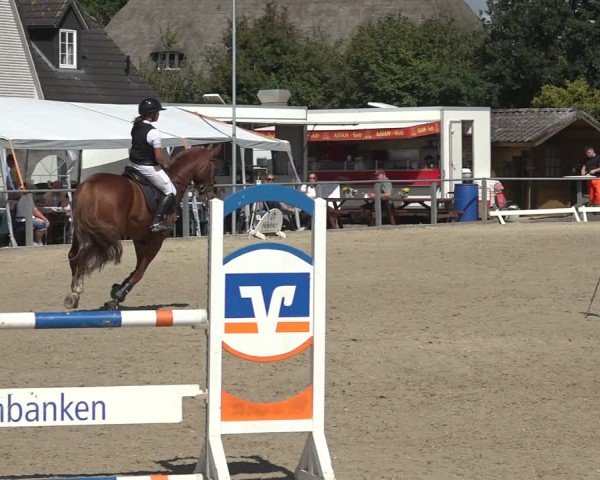 Reitturnier Behrendorf 2024
