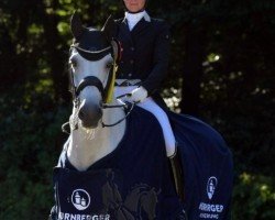 dressage horse Belantus (German Sport Horse, 2013, from Belantis)