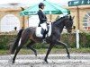 dressage horse Feentanz 8 (German Sport Horse, 2018, from FBW Final Result)