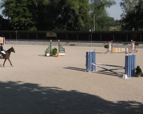 Reitturnier Ingolstadt - Hagau 2024