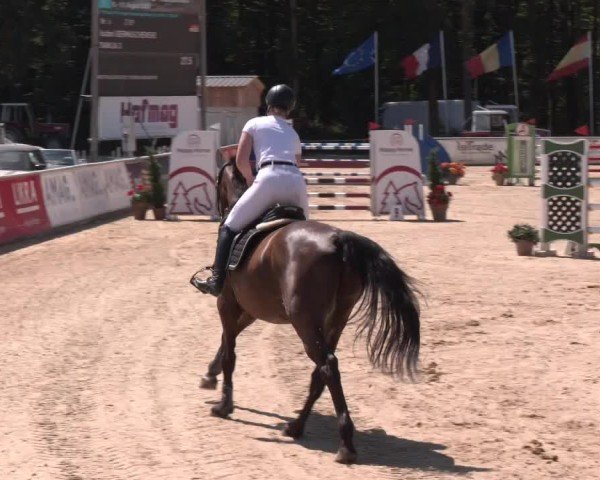 Reitturnier Ranshofen - Braunau am Inn 2024