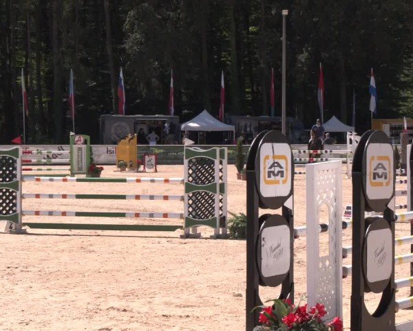 Reitturnier Ranshofen - Braunau am Inn 2024