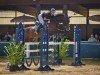 jumper Cheyenne E (Oldenburg show jumper, 2006, from Cornet Obolensky)