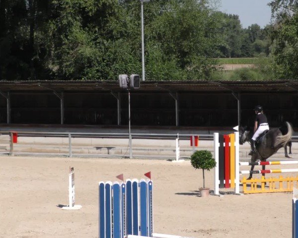 Reitturnier Ingolstadt - Hagau 2024
