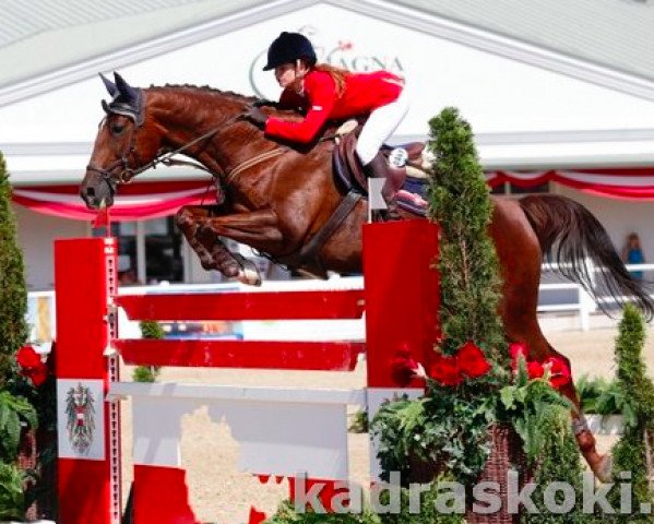 horse Zeta (Polish Warmblood, 2000, from Elvis)