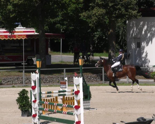 Reitturnier Ingolstadt - Hagau 2024