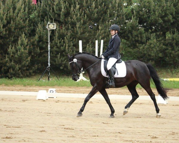 broodmare Merci 112 (German Riding Pony, 2007, from Wengelo's Nelson)