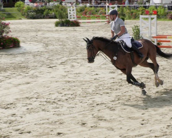Reitturnier Oberderdingen 2024