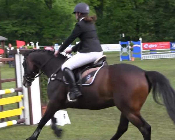 Stukenbrock 2013