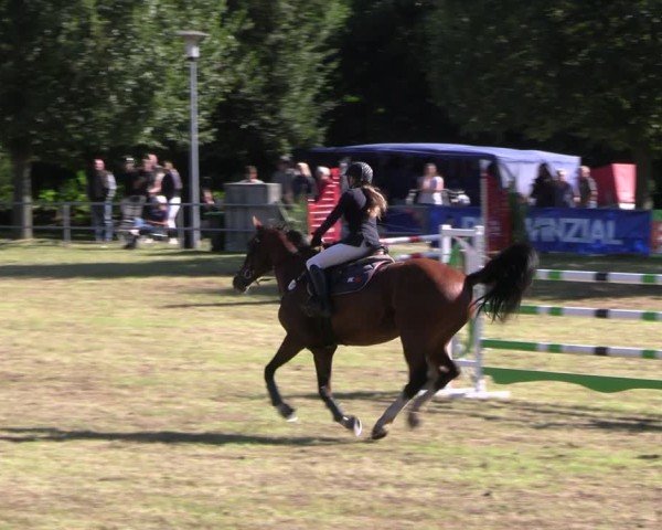 Reitturnier Woldegk 2024