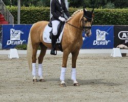 Dressurpferd DJ Gold (Deutsches Reitpony, 2020, von D-Gold AT NRW)