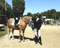 dressage horse Singold's Darus (German Riding Pony, 2006, from Depardieu)