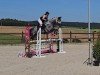 jumper Chupa Smart (Holsteiner, 2016, from Calido I)