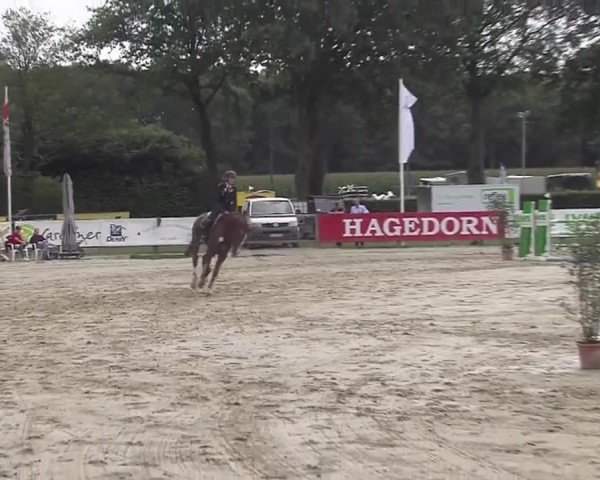 Reitturnier Münster-Handorf | Westfalen-Woche 2024