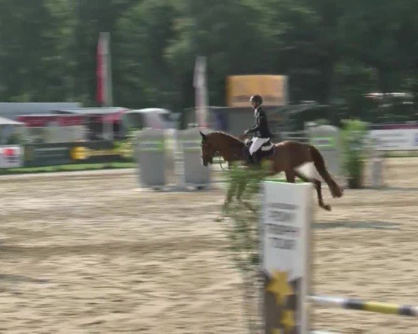 Reitturnier Münster-Handorf | Westfalen-Woche 2024