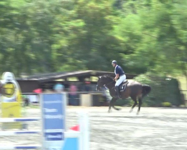Reitturnier Horitschon 2024