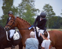 dressage horse Ferris von Buchmatt (Swiss Warmblood, 2018, from Fürst Wilhelm)