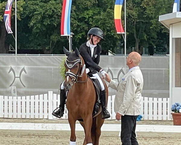 Dressurpferd Coco Royale (Deutsches Reitpony, 2021, von DSP Cosmo Royale)