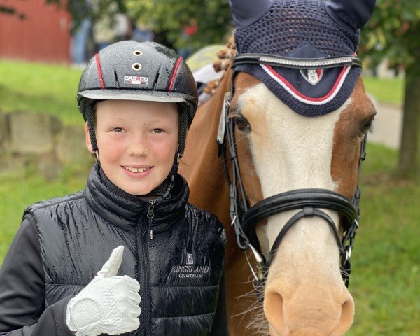 Dressurpferd First Mr. Macho (Niederländisches Pony, 2016, von FS Mr. Right)