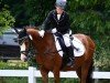 dressage horse Mambo (Welsh-Pony (Section B), 2008, from Samorens Mark)