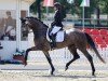 dressage horse Zinderella PPS (Hanoverian, 2020, from Blue Hors Zackerey)