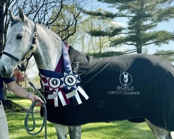 jumper Katinka 199 (Oldenburg show jumper, 2016, from Kannan)