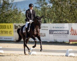 dressage horse Quaterbillion (Oldenburger, 2018, from Quaterhall)