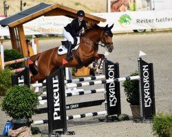 jumper Big Moon Rising vd Mittelerde (Oldenburger Springpferd, 2016, from Big Star)