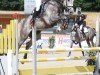 jumper Cassai 13 (Oldenburg show jumper, 2019, from Clear Heart)